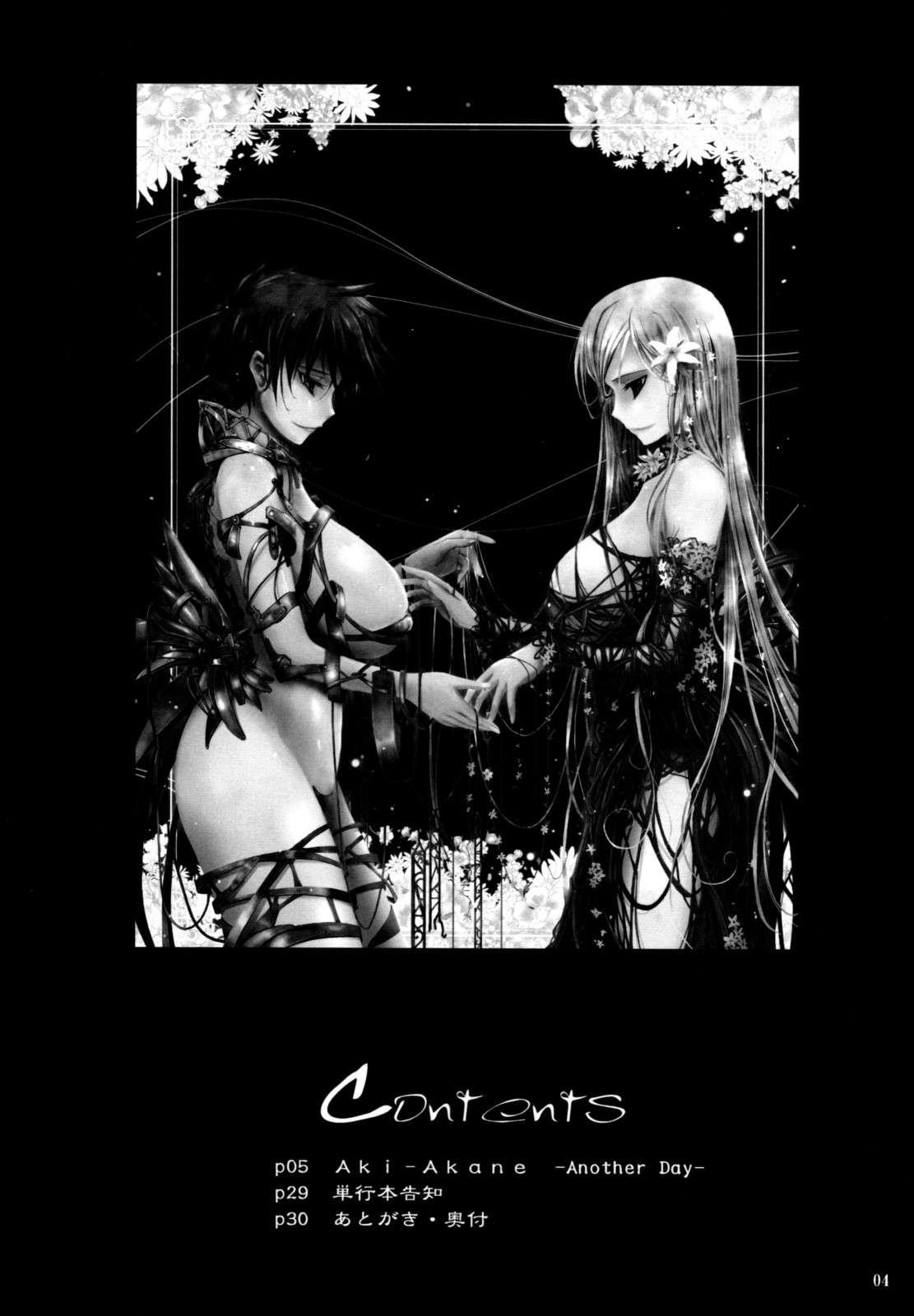 Bleach Dj - Aki-akane Chapter 3000 Page 2